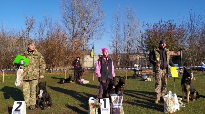 Змагання собаководів