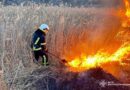 За добу в Дніпропетровській області сталося 56 пожеж в екосистемах