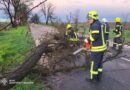 Наслідки негоди на Дніпропетровщині: повалені дерева, пошкоджені будівлі