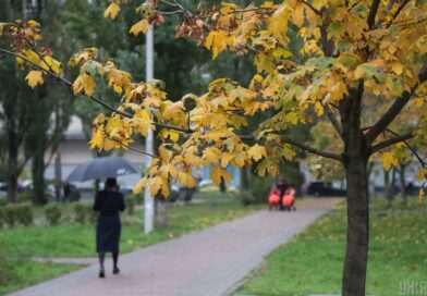 Очікуйте сильний вітер та похолодання: коли Україну покине тепло
