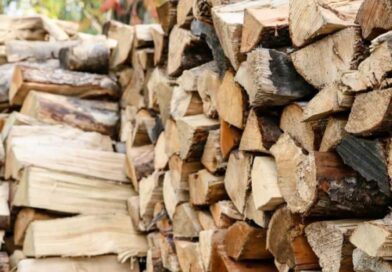 Які дрова обрати для опалення будинку, а які не варто використовувати?