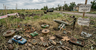 Мінна небезпека: як розпізнати вибухонебезпечні предмети