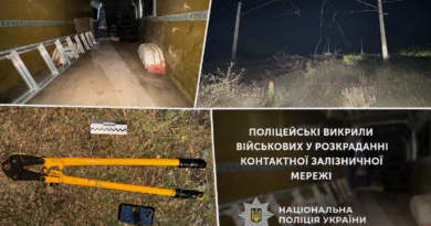 У Синельниківському районі поліцейські викрили військових у розкраданні залізничної мережі