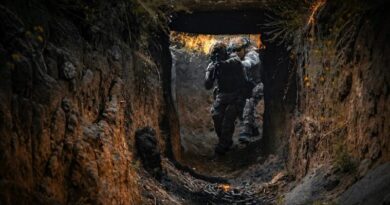 Чотири дні тиші на фронті? Що відомо про наказ Силам оборони