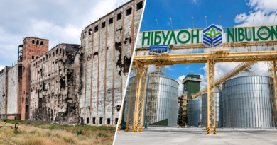 Зруйновані елеватори хочуть відновити: Межівська громада планує залучити «НІБУЛОН» до аграрного відновлення